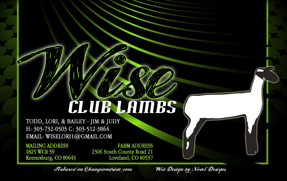 Wise Club Lambs